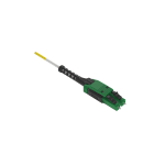 Panduit - OS2 2f 2mm PC OFNP LC APC Uniboot /LC AP