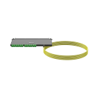 Panduit - OS2 SM 24-fiber B2ca Front Access Tethe
