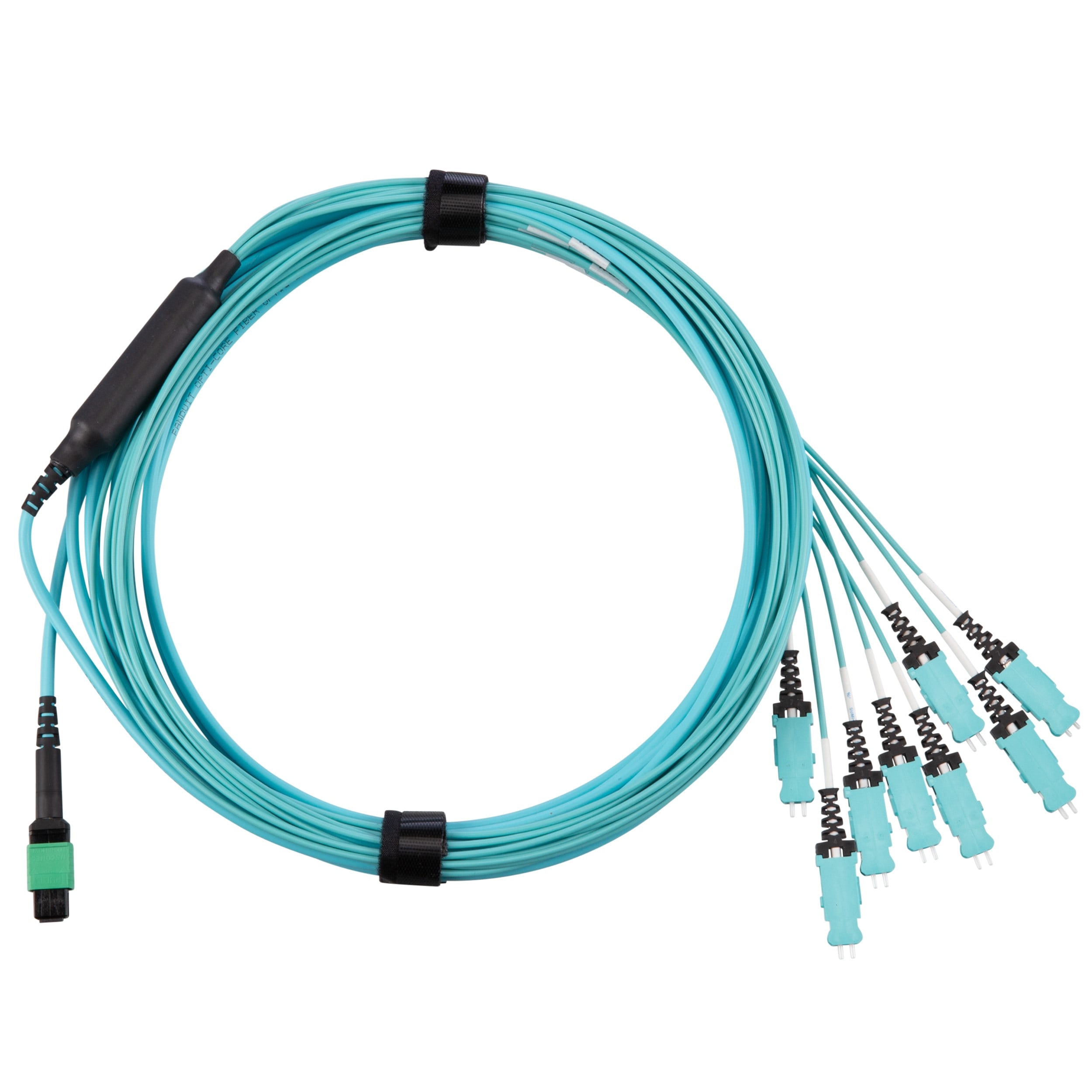Panduit - OM4+ 16F Harness, LSZH, MPO-16 Female t