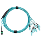 Panduit - OM4 16F Harness, LSZH, MPO-16 Female to