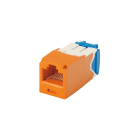 Panduit - Module jack avec cadre de montage Mini-Com? UTP RJ45,Cat 6A,TG,Orange,Qté:100