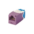 Panduit - Module jack avec cadre de montage Mini-Com? UTP RJ45,Cat 6A,TG,Mauve,Qté:100