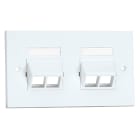Panduit - NK 4-port, double gang, sloped faceplate