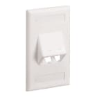 Panduit - Faceplate, 2 Port, Classic, Sloped, Off