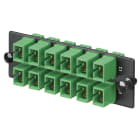 Panduit - FAP w/12 SC APC Simpl Adapters (AG) Zirc