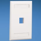 Panduit - Flush Mount Screw-On Faceplates With Lab