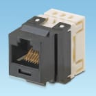 Panduit - NK Cat 6 punchdown jack module - Violet
