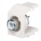 Panduit - NK RCA Module, Solder Type, White Insert