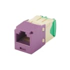 Panduit - Mini-Com Module, Cat 6, 28/30 AWG, UTP,