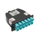Panduit - 12-fiber OM4 total, aqua adapter, zircon