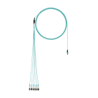 Panduit - OM4 12-fiber, round harness cable, plenu
