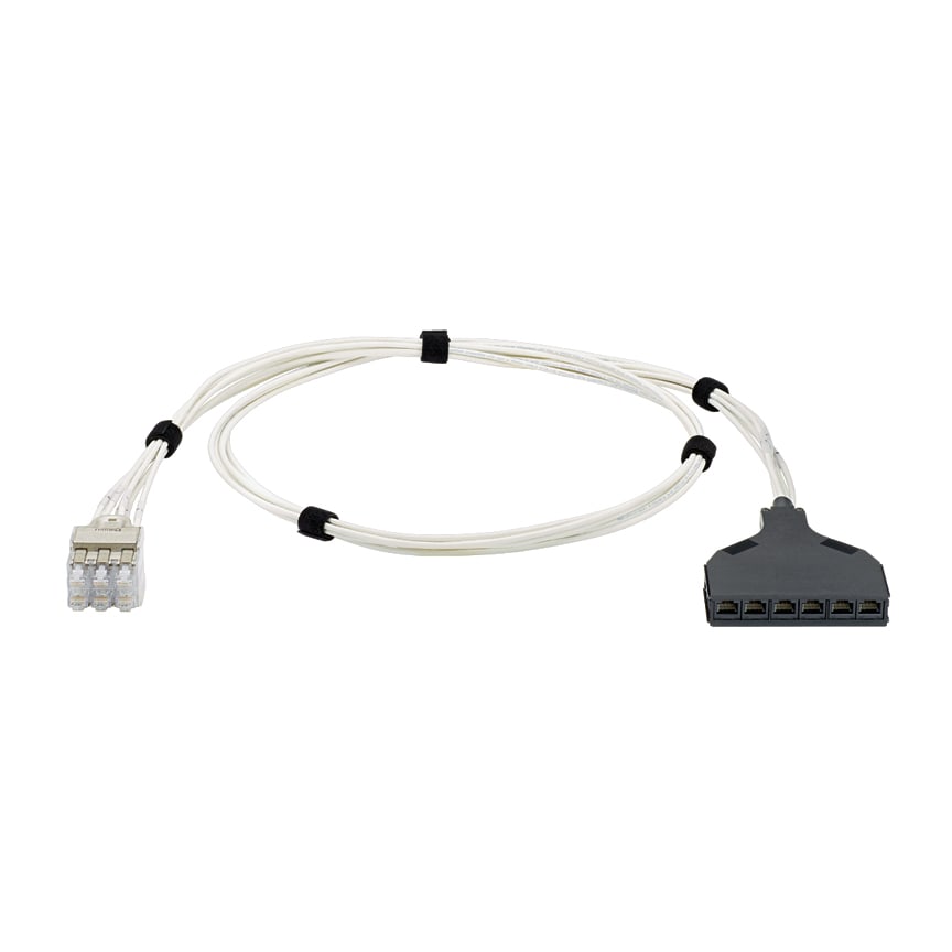 Panduit - QN Switch Port Harness, Cat 6 28AWG Whit