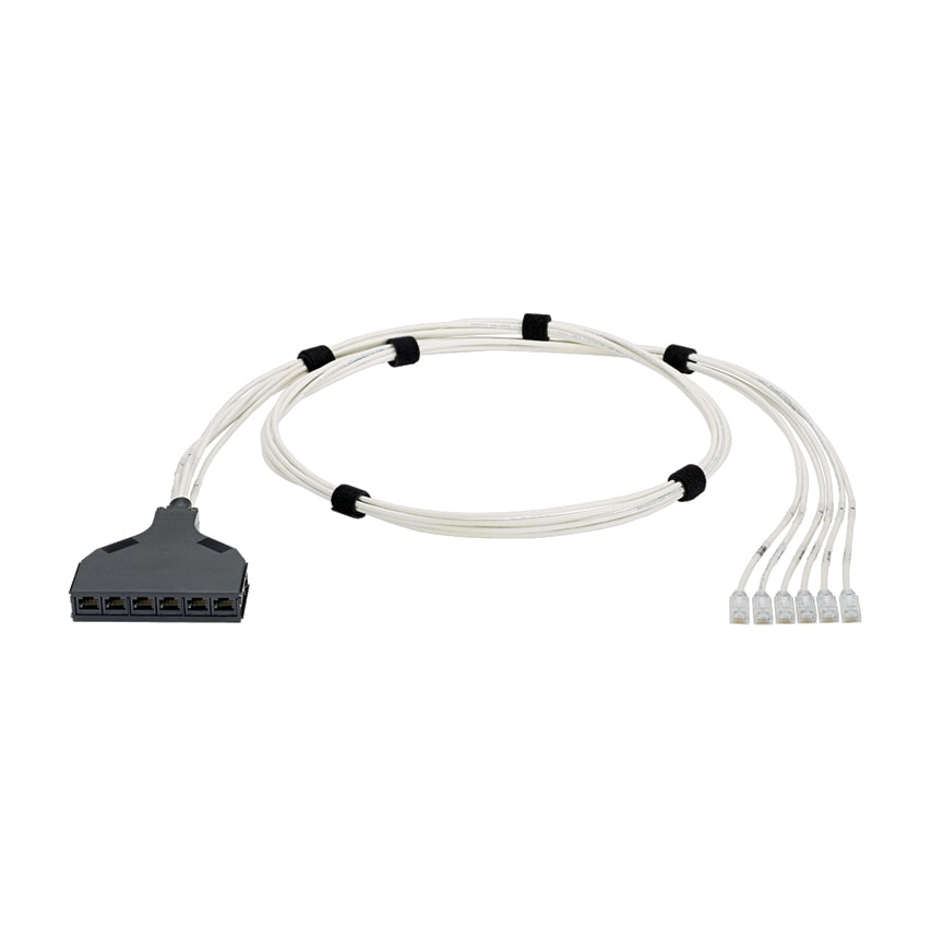 Panduit - QN Switch Port Harness, Cat 6 28AWG Whit