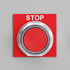 Panduit - Raised Panel Label, Keyhole, 1.8"W x 1.8