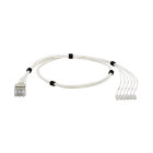 Panduit - QN Switch Patching Harness, Cat 6 28AWG