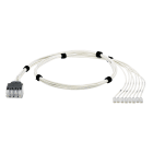 Panduit - QN Switch Patching Harness, Cat 6 28AWG