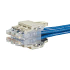 Panduit - QN Recessed Plug Pack Housing, 6 pack, S