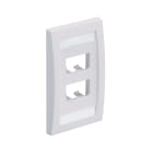 Panduit - Faceplate, 4 Port, Single Gang, Executiv