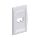 Panduit - Faceplate, 2 Port, Single Gang, Executiv