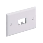 Panduit - Faceplate, 2 Port, Single Gang, Horizona
