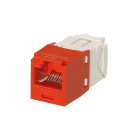 Panduit - Module jack avec cadre de montage Mini-Com? UTP RJ45,Cat 6,TG,Rouge,Qté:100