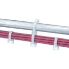 Panduit - Bagues de connexion; longueur 14,5mm;PA 6.6;Naturel;Cdt.1000