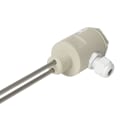 Carlo Gavazzi - Sonde de niveau résistive 1/2? - 2 éléctrodes Kynar (PVDF) 1000mm - IP67