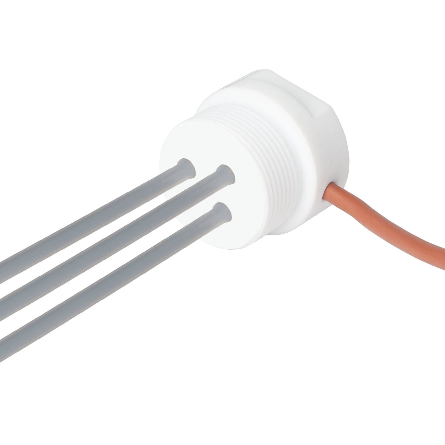 Carlo Gavazzi - Sonde de niveau résistive 1 1/2? - 3 éléctrodes Téflon (PTFE) 1000mm - IP67