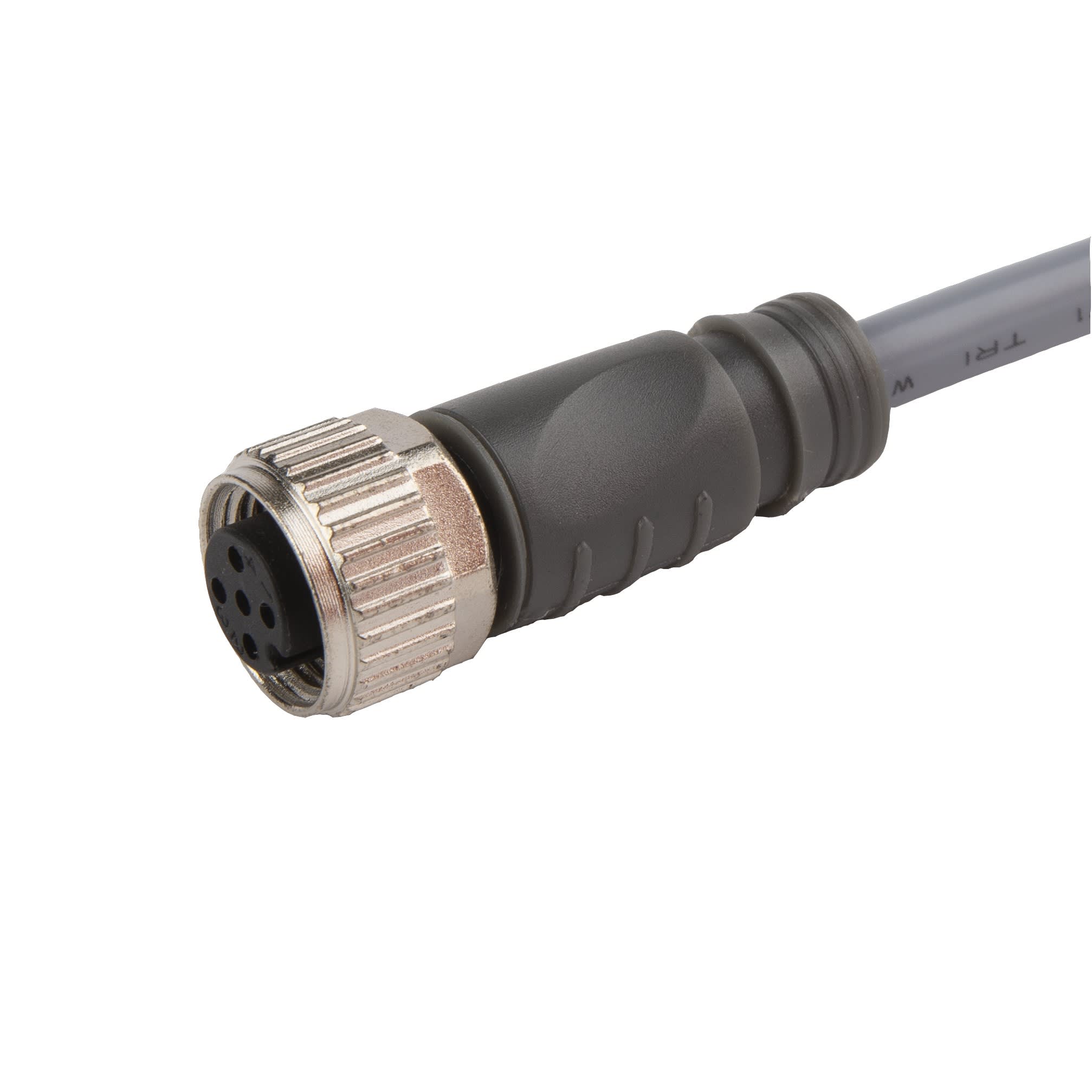 Carlo Gavazzi - Connecteur M12 4 fils droit longueur 2m PVC