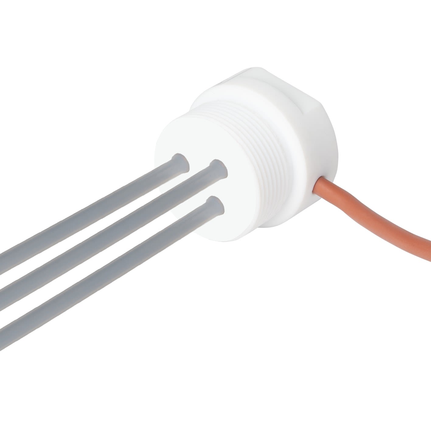 Carlo Gavazzi - Sonde de niveau résistive 1 1/2? - 3 éléctrodes Téflon (PTFE) 1000mm - IP67