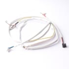 Atlantic - pièce de rechange origine fabricant : filerie compresseur cv4