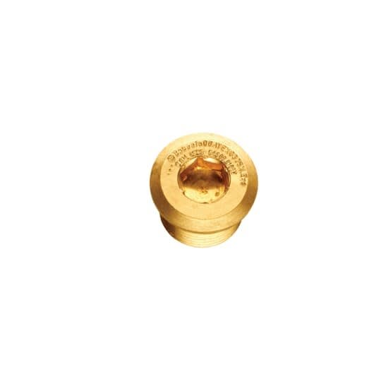 Thomas & Betts - M25 DOME STOPPING PLUG NICKEL PLATE