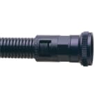 Thomas & Betts - Raccord droit - Polyamide (Nylon) 6 - Pas UNEF - Noir