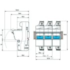 Adee - option déc. assoc Tripolaire fusibles 100A gG pour parafoudre Type 1