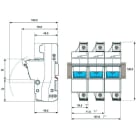 Adee - option déc. assoc Tripolaire fusibles 100A gG pour parafoudre Type 1, précâblé