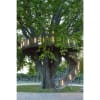 Vignette Photo produit ambiance 14