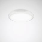 Trilux - Hublot LED 2345 G2 IP 65 3000K/4000K 1000/1400/2000 lm IP65 IK10 + détecteur