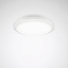 Trilux - Hublot LED 2345 G2 IP 65 3000K/4000K 1000/1400/2000 lm IP65 IK10 + détecteur