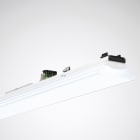 Trilux - Ligne continue E-Line 50W 1474mm 6500K 6000lm IP50 DALI blanc symétrique