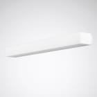 Trilux - Applique murale Acuro 8W 600mm 4000K 1000lm IP40 IK02 UGR22 on/off blanc
