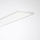 Trilux - Plafonnier/Applique Arimo 50W 1532mm 4000K 5300lm IP40 IK03 DALI HCL blanc