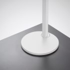 Trilux - Accessoire/pièce de rechange Cultega blanc