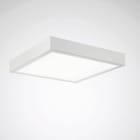 Trilux - Luminaire salle blanche Fidesca 42W 625mm 4000K 5500lm IP65 IK08 DALI blanc