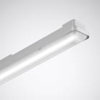 Trilux - Réglette étanche LED Oleveon Fit 1552mm 4000K 6200 lm IP66 DALI PMMA