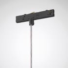 Trilux - Adaptateur de rail DALI noir + câble transparent 1800mm