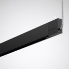 Trilux - Rail DALI suspendu 2810 mm DALI noir avec partie indirecte 3000 K + Alim