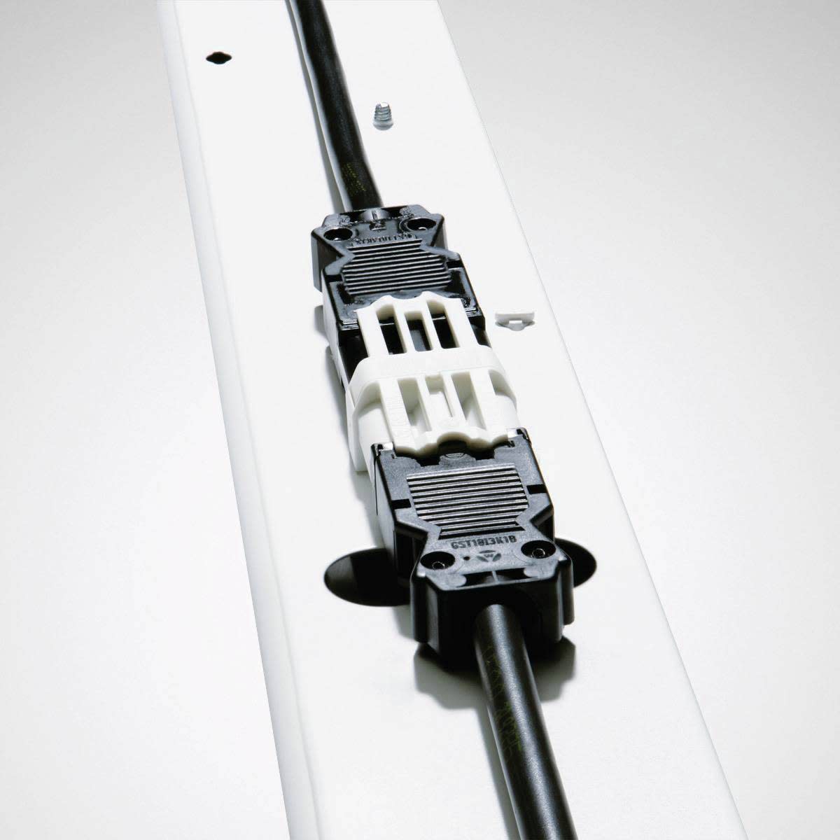 Trilux - Connecteur Wieland 3 pôles 2m