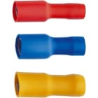 Klauke - Fiches rondes fem. rouges