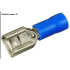 Klauke - Fiche femelle bleue pour languette plate de 6.3 x 0.8mm, section: 1,5 à 2,5mm²