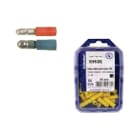 Klauke - Fiche ronde femelle jaune